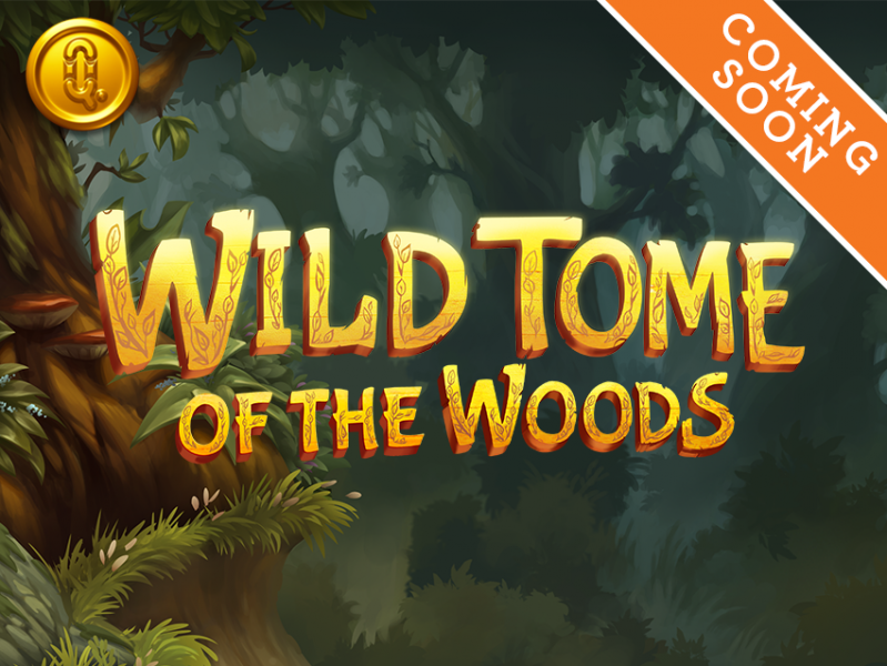 
                        Wild Tome of the Woods combines magical character theme with modern game mechanics                    